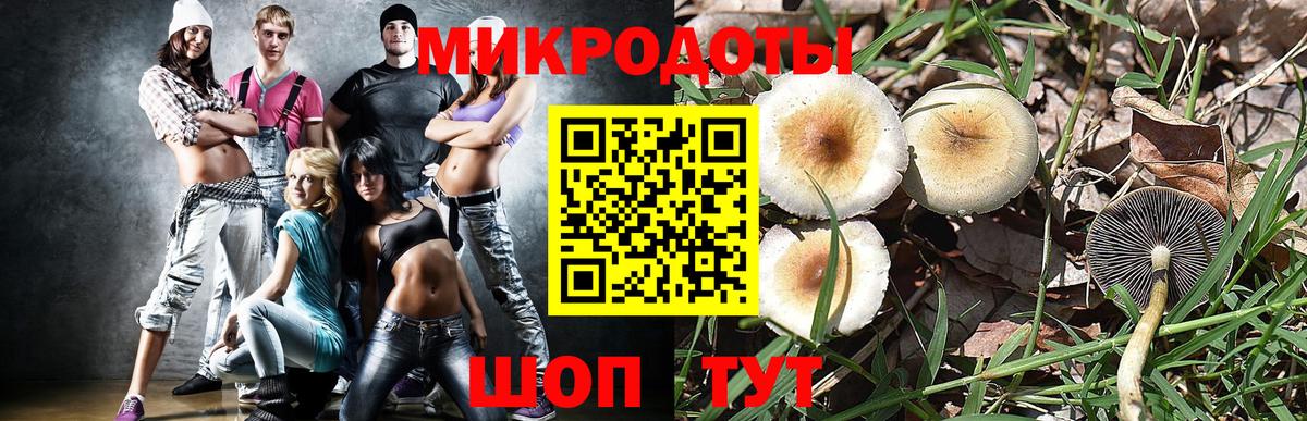 Псилоцибиновые грибы Cubensis  Галлюциногенные грибы ЛСД  Вход с VPN  Малоярославец 